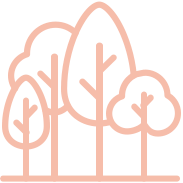 Arbre